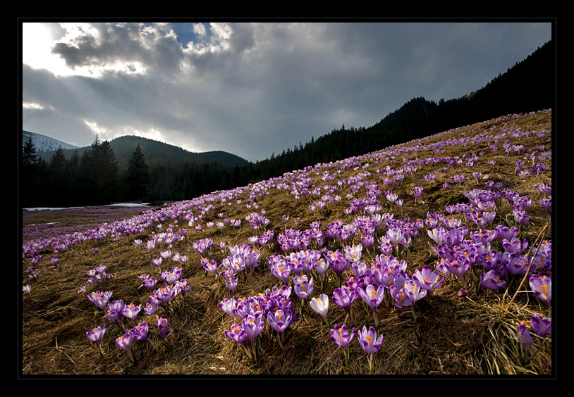 24 kwiecien imieniny