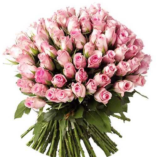 100 RÓŻ na 8 MARCA :))