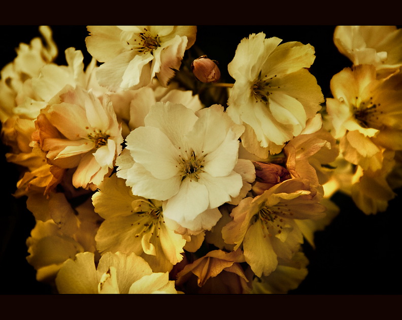 30 kwiecien imieniny