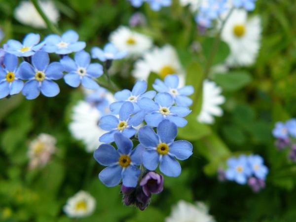 19 kwiecień imieniny